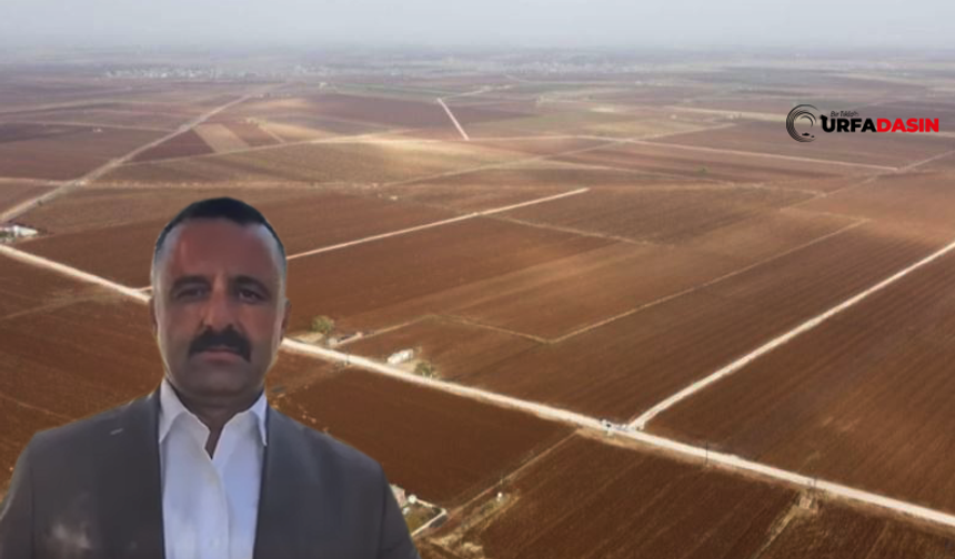 Akçakale Aşağıbeydaş'ta Arazi Toplulaştırmasındaki Mahkeme Kararını İdare Uygulamıyor İddiası