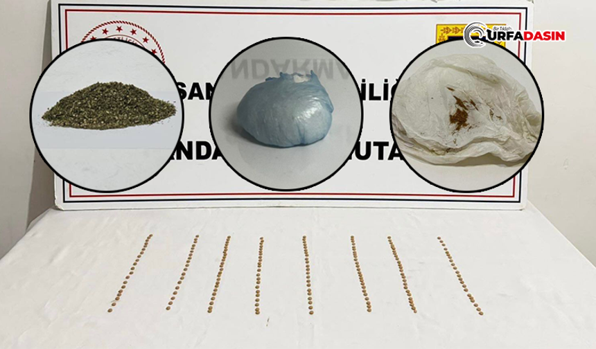 Şanlıurfa'da Torbacı Operasyonu: 8 Şüpheli Yakalandı