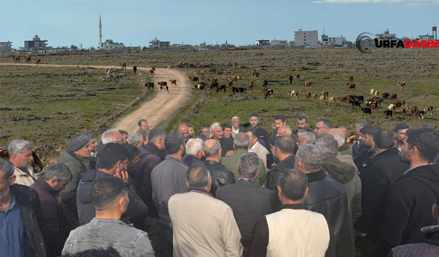 Şanlıurfa'da 3 Köyün Merasına Güneş Enerjisi Panelleri Kurulması Planlanıyor