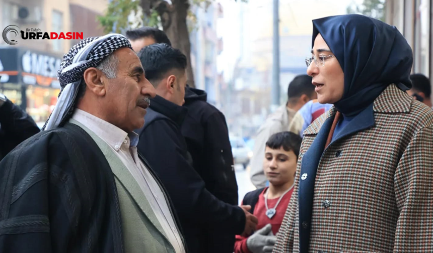 Şanlıurfa'nın En Çalışkan Vekillerinden Biri Olan Yazmacı, Meclis Tatile Girdiği Gibi Soluğu Memlektinde Alıyor