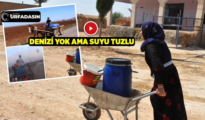 Şanlıurfa Ortaderen ve Aşağıderen Köylüleri Yıllardır Temiz Su Özlemi Çekiyor