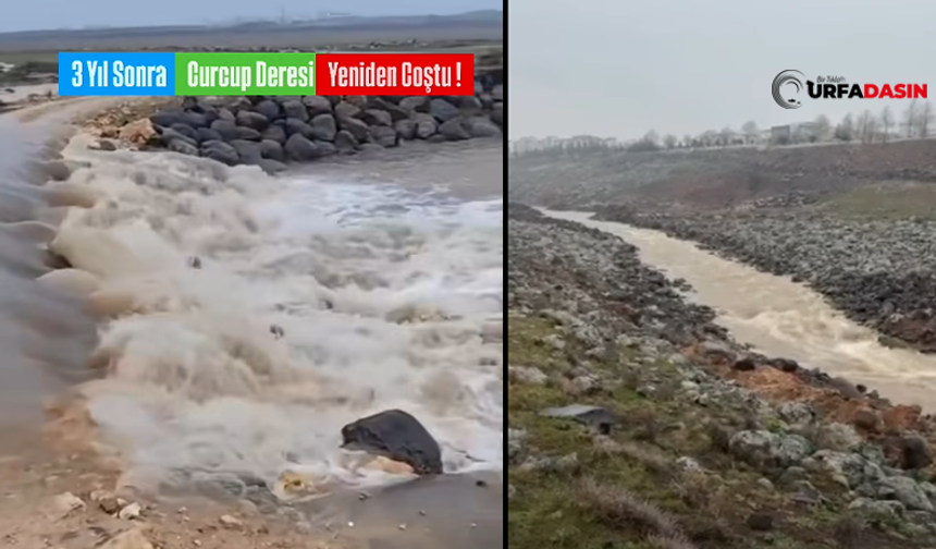 Şanlıurfa’da Yağışlar Sulutepe Göletini Doldurdu, Curcup Deresini Coşturdu