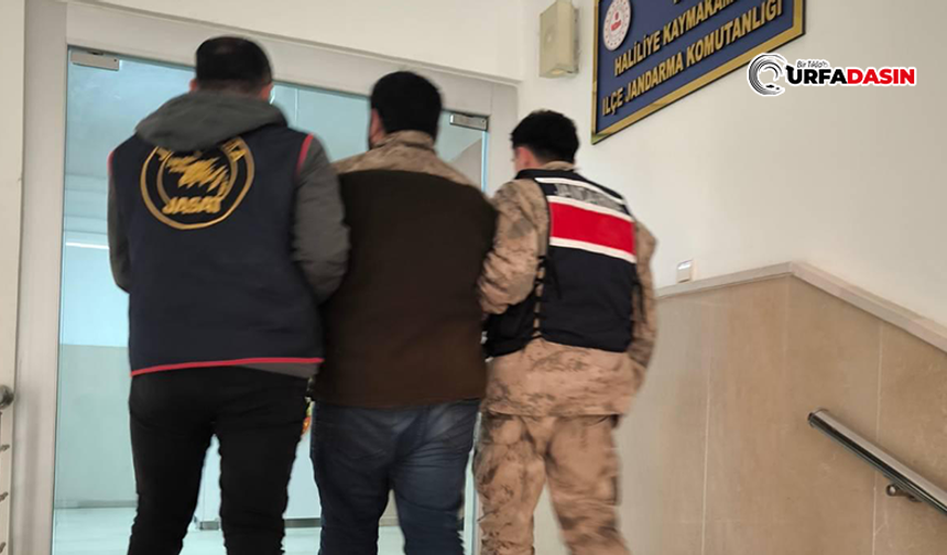 Şanlıurfa'da 25 Yıl Hapis Cezasıyla Aranan Firari, Yakayı Ele Verdi