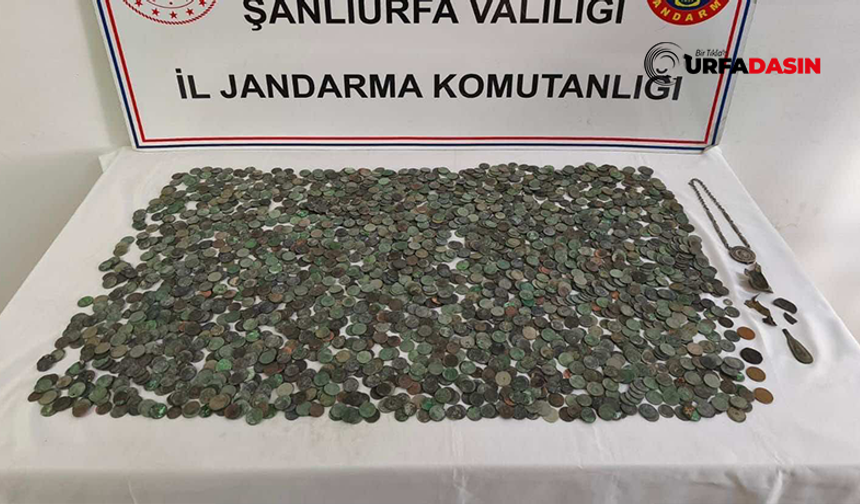 Şanlıurfa'da Tarihi Eser Operasyonu: Binlercesi Ele Geçirildi