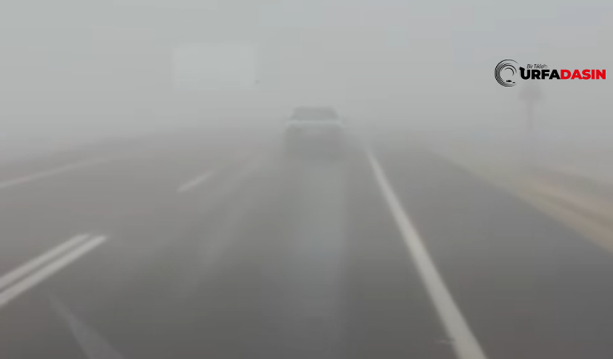 Şanlıurfa'da Yoğun Sis Görülüyor