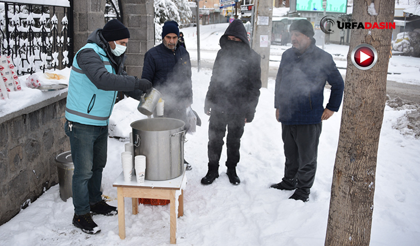 Siverek'te Sabah Saatlerinde 4 Noktada Sıcak Çorba İkramı