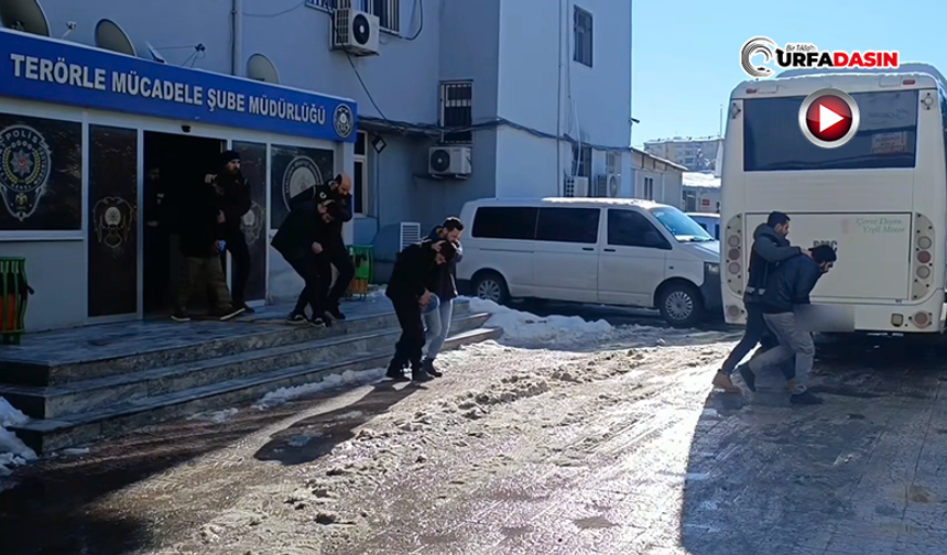 Şanlıurfa'da DEAŞ Operasyonu: Çok Sayıda Gözaltı