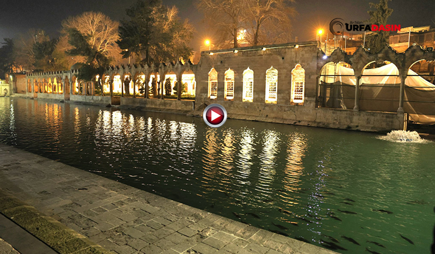 Şanlıurfa'da Balıklıgöl'ün Yeni Aydınlatma Projesinde Sona Gelindi