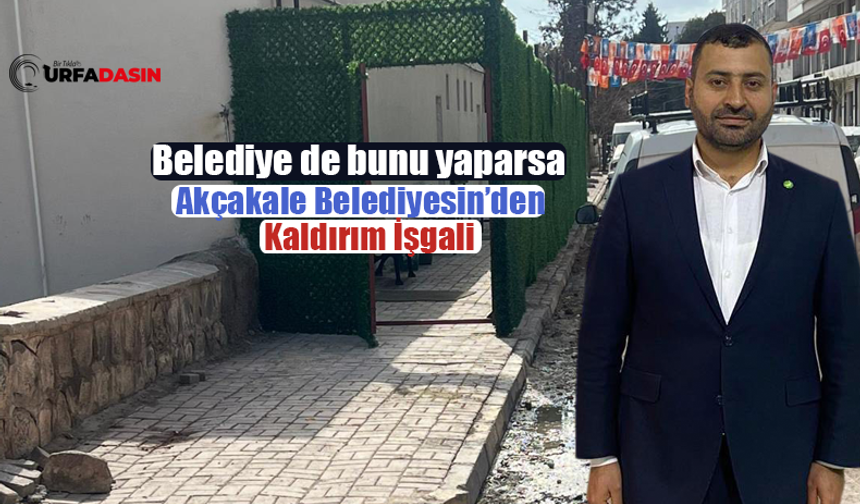 Akçakale Belediyesi Ele Veriyor Öğüdü Kendisi Kırıyor Söğüdü!