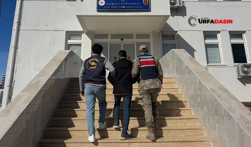 Şanlıurfa'da "Büyü" Yalanıyla Dolandırıcılık Yapan Şahıs Tutuklandı