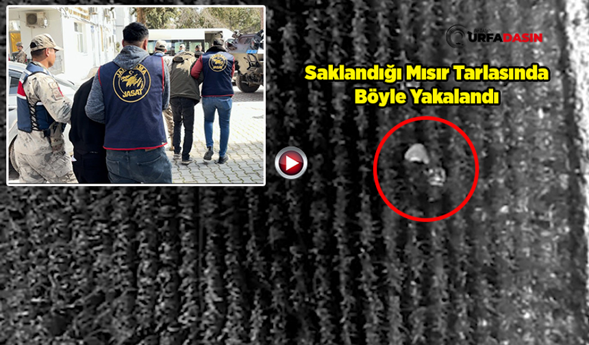 Şanlıurfa'da Hüseyin Yıldırım'ın Cinayet Zanlısı ve Ona Yardım Eden 4 Kişi Yakalandı