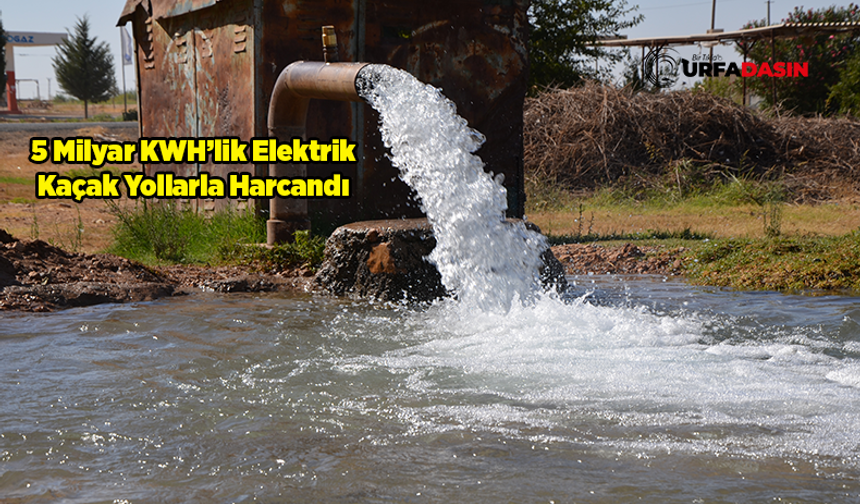 Şanlıurfa'da Ekilen Mısır, Kaçak Elektrik Kullanımını Artırdı: 15 Milyar Lira Kayıp