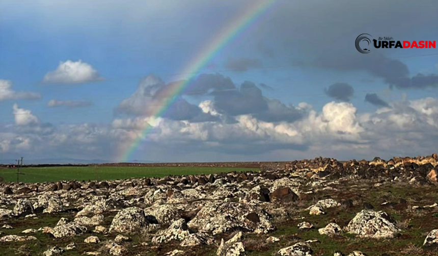 Şanlıurfa Viranşehir’de Yağmurun Ardından Gökkuşağının Görsel Şöleni