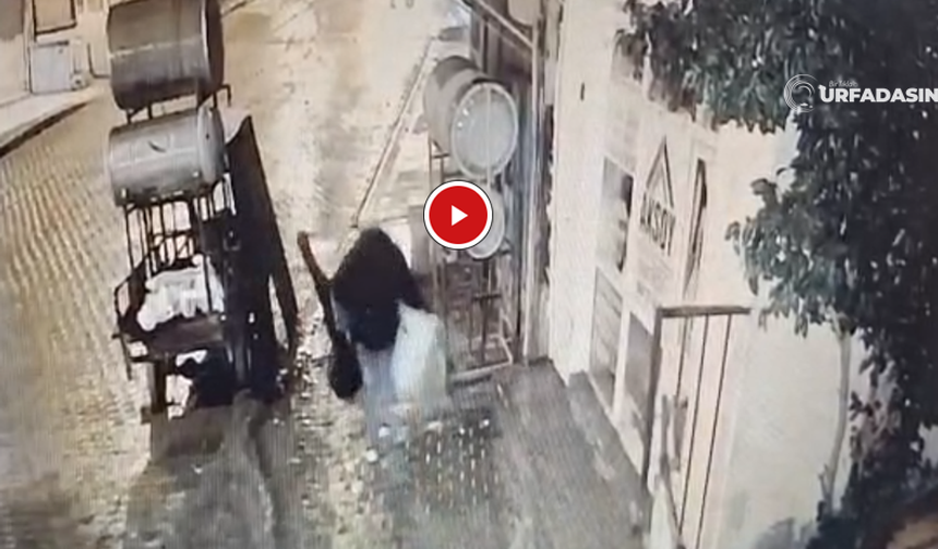 Şanlıurfa Birecik'te Hırsız 100 Bin Lirayla Birlikte Bir de Saz Çaldı!