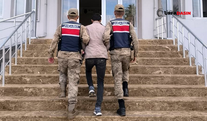 Şanlıurfa'da Evden 30 Bin Lira Çalan Hırsız, Jandarmadan Kaçamadı