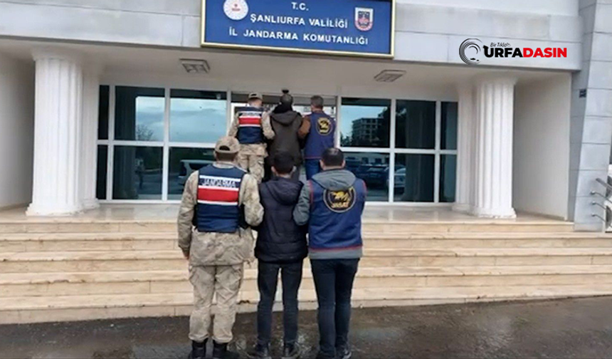 Şanlıurfa'da Eve Silahlı Saldırı Düzenleyen 2 Şüpheli Yakalandı