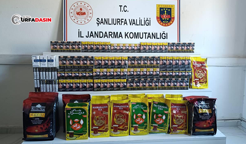 Şanlıurfa Jandarmasından Kaçakçılık Operasyonları: 60 Kişiye İşlem Başlatıldı