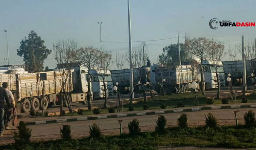 Şanlıurfa Akçakale Gümrük Kapısında Endişeli Bekleyiş