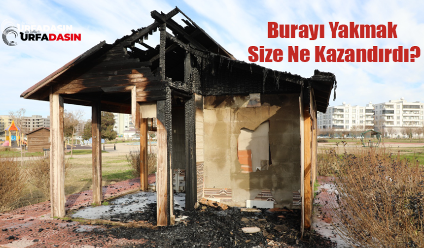 Şanlıurfa Viranşehir'de Millet Bahçesindeki Kamelyayı Ateşe Verdiler