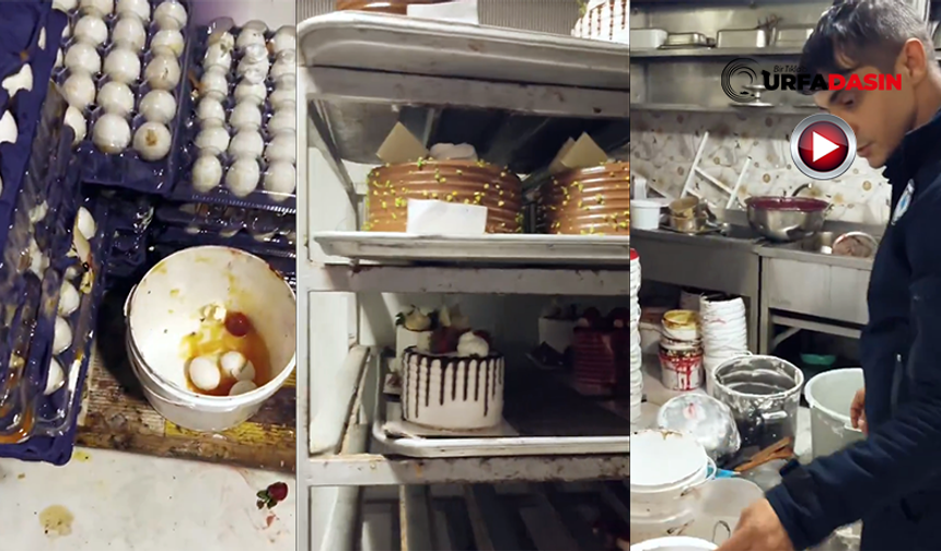 Şanlıurfa'da Pasta Üretimi Yapılan İşletme Mide Bulandırdı