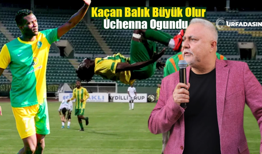 Şanlıurfaspor Başkanı Kemal Saraçoğlu'ndan Ogundu Açıklaması