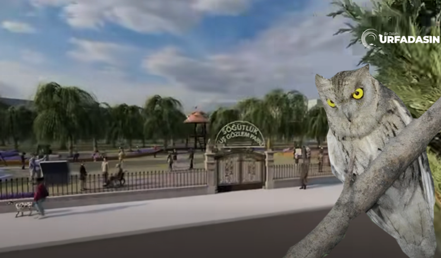 Birecik Söğütlük Park Yeni Görünümüne Kavuşuyor