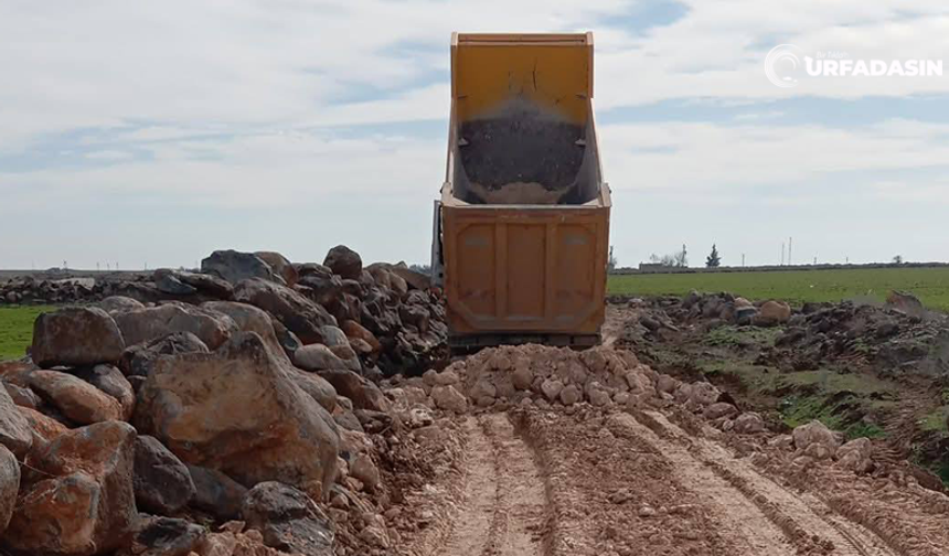 Aşağı Sarpın’da Stabilize Yol Çalışması: Başkan Serhat Dicle İnan Talimat Verdi