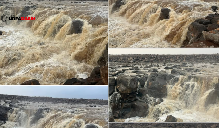 Şanlıurfa Viranşehir'de Coşkun Akan Dereler Şelaleye Dönüştü