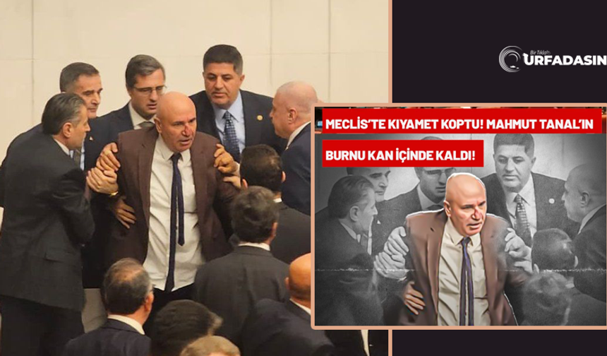 Şanlıurfa Milletvekili Mahmut Tanal'a Mecliste Yumruklu Saldırı