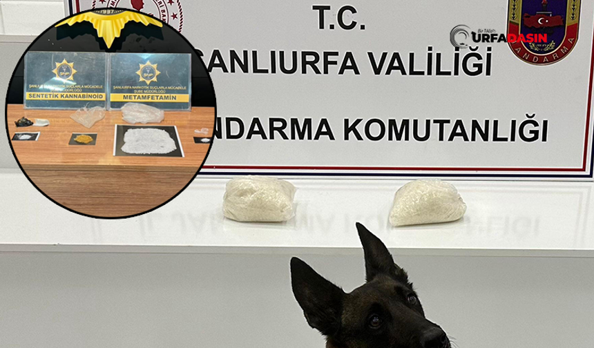 Şanlıurfa'da Polis ve Jandarmadan Zehir Tacirlerine Operasyon: 12 Tutuklama