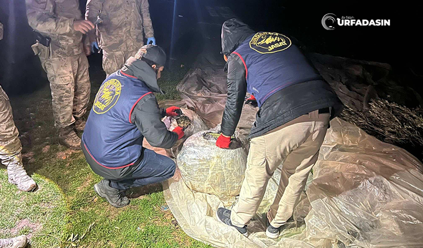 Şanlıurfa'da Eğitimli Köpek Buldu, Jandarma Yakaladı: 2 Gözaltı