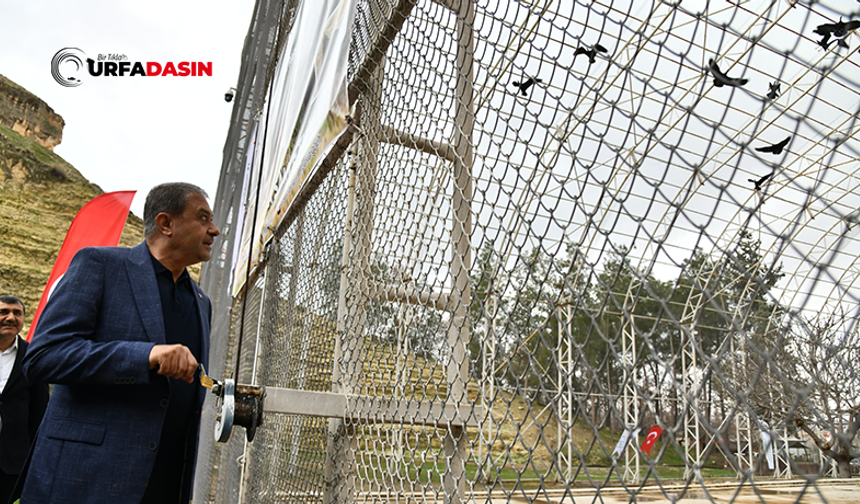Şanlıurfa Valisi Şıldak: “Birecik, Dünyadaki Önemli Merkezlerden Biri”