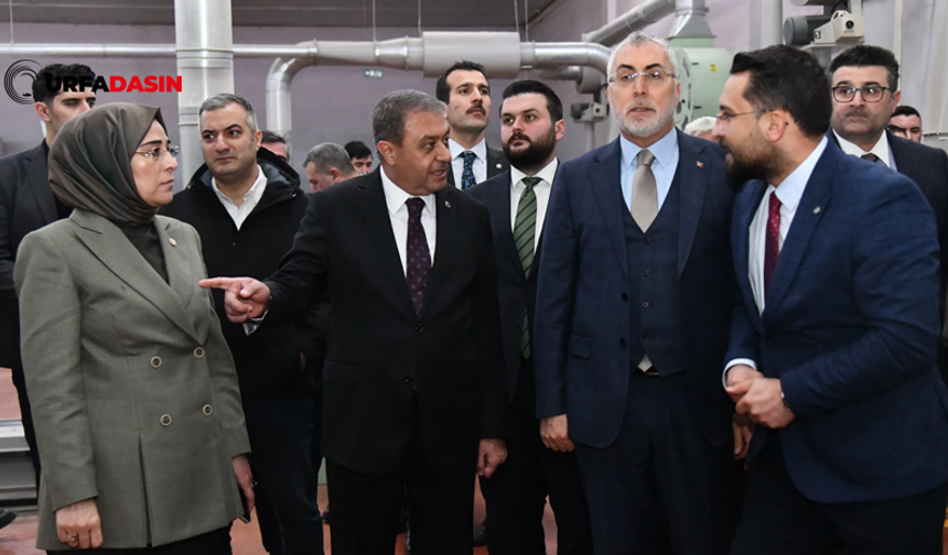 Bakan Işıkhan; İşverenlerin SGK Borçlarını Tecil Etmeleri İçin Gereken Yüzde 10 Peşinat Zorunluluğunu Kaldırdık