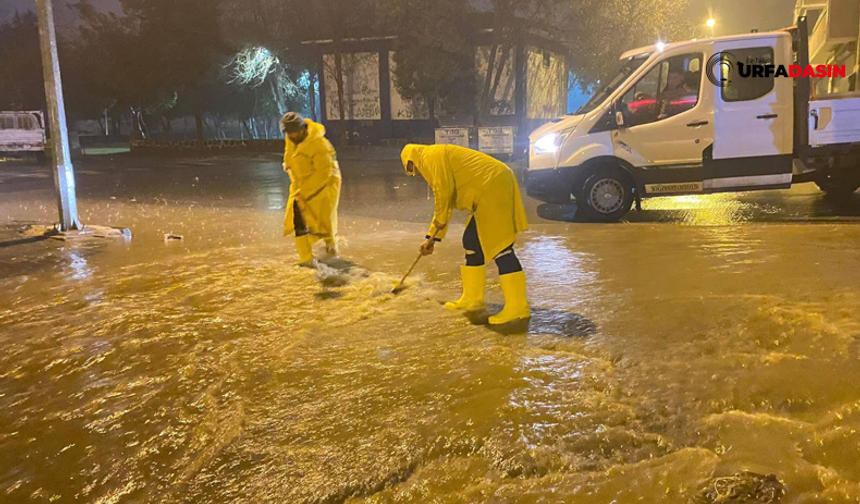 Şanlıurfa'nın 4 İlçesi Hilvan, Siverek, Viranşehir, Ceylanpınar'da Sağanak Yağış Uyarısı