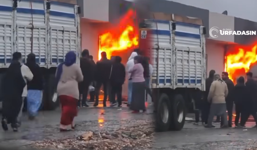 Şanlıurfa'daki Bu Yangında Bir Yuva Küle Döndü