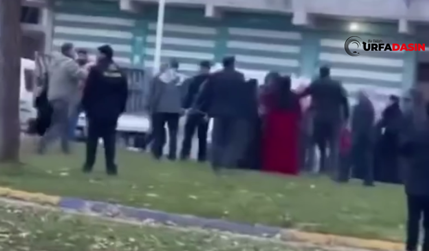 Şanlıurfa'da Kazmalı Kürekli Yol Verme Kavgası;3 Yaralı