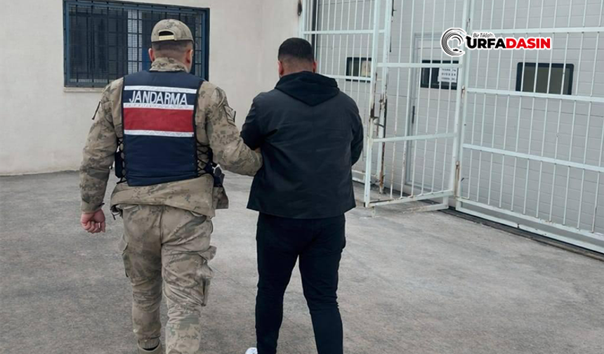 Şanlıurfa'da Adam Öldürme Suçundan 10 Yıl Hapisle Aranan Firari Yakalandı