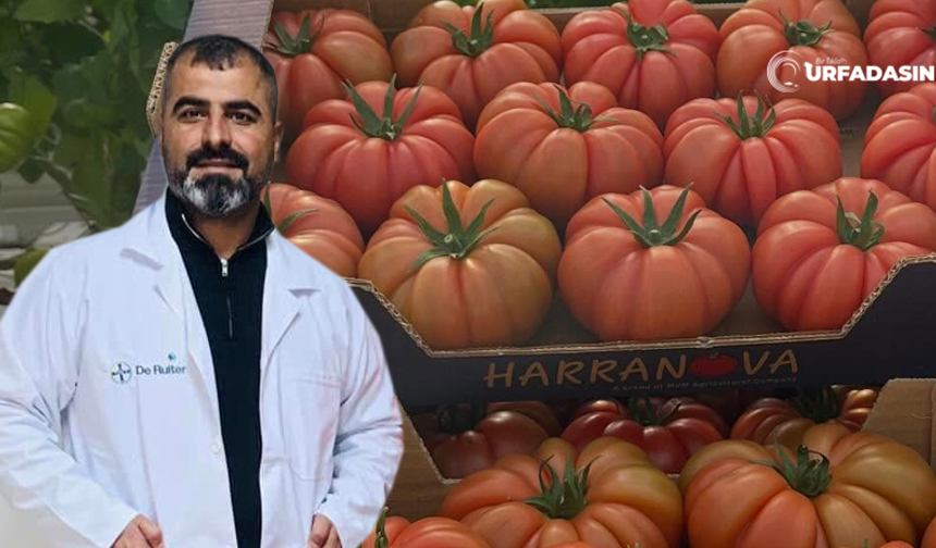 Şanlıurfa'da Yapamadığını Rusya'nın Zorlu Kış Şartlarında Başardı