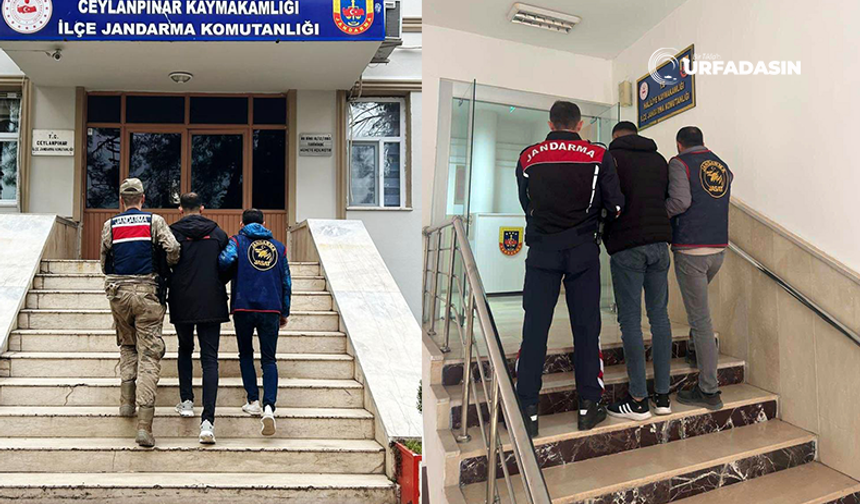 Şanlıurfa'da Adam Öldürme ve Narkotik Suçlarından Aranan 2 Firari Yakalandı