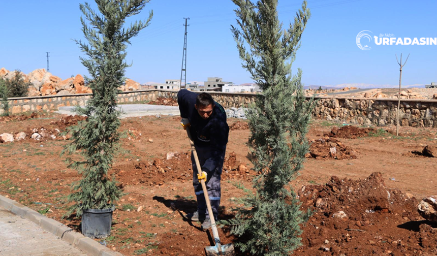 Halfeti Yukarıgöklü Kent Parkı Yeşile Bürünüyor