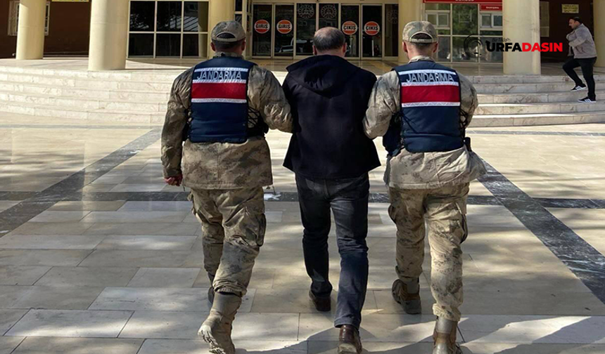 Şanlıurfa’da Yaralama Suçundan 5 Yıl Hapis Cezası Bulunan Firari Yakalandı