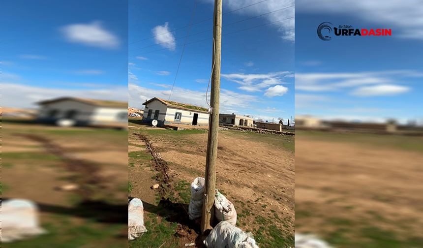 Şanlıurfa'da Ahşap Direği Oyup İçinden Kaçak Elektrik Hatı Çektiler