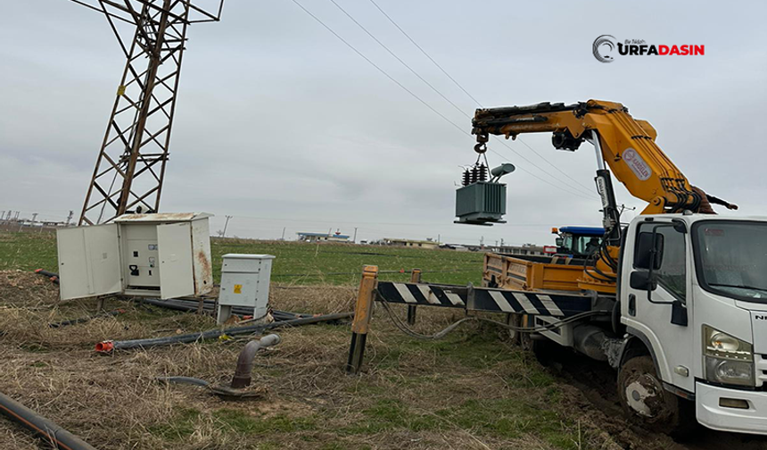 Şanlıurfa'da Kaçak Elektrikle Sulama Yapılan Karla Kaplı Arazideki Trafoya El Konuldu