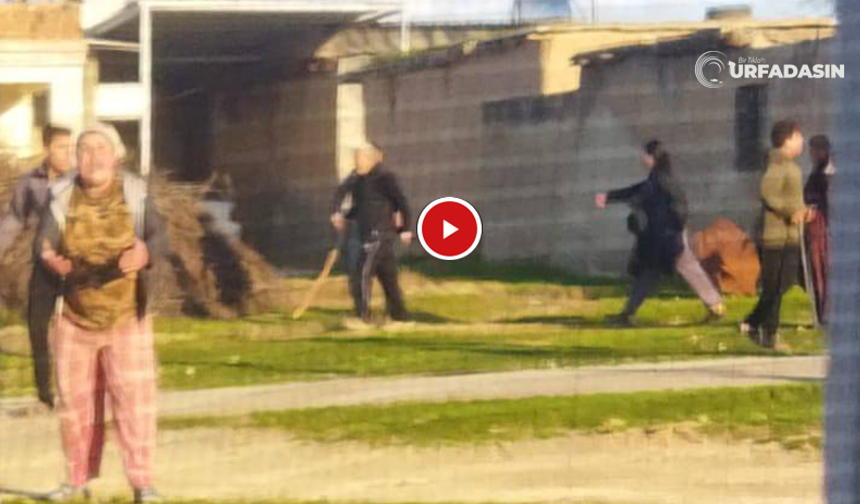 Şanlıurfa Kırsalında Amca Çocukları Arasında Taşlı Sopalı Kavga: 2 Yaralı