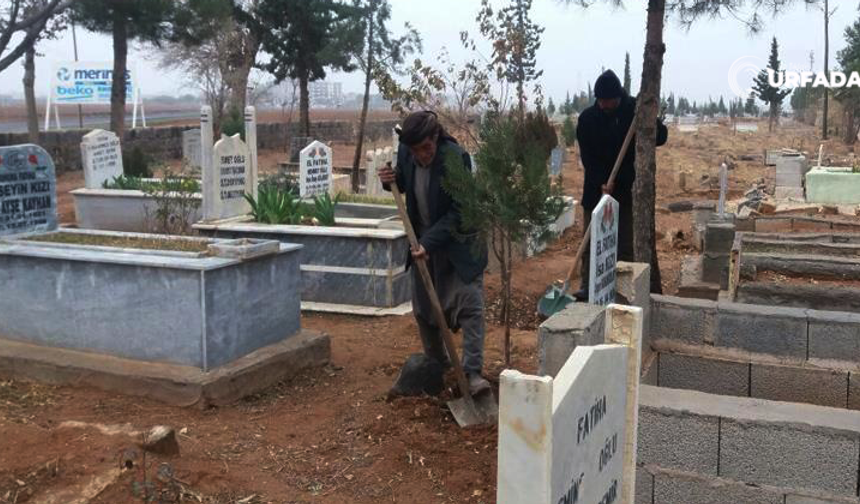 Şanlıurfa Suruçlu Çocuğun Mezarı Mahkeme Kararıyla Yeniden Açılacak