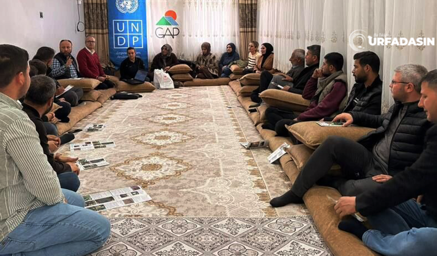 Şanlıurfa’da Pamuk Üretiminde Verim Ve Kaliteyi Artırma Eğitimi