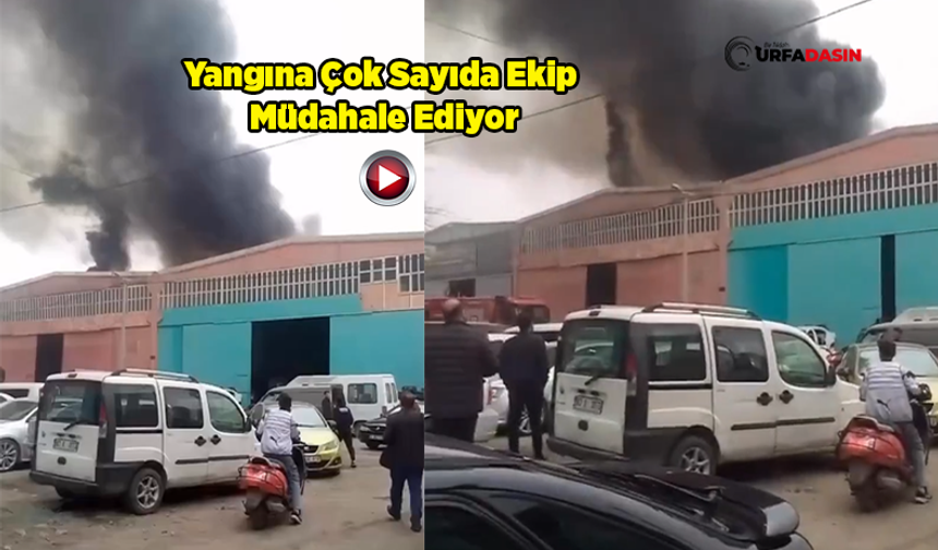 Şanlıurfa Evren Sanayi Sitesinde Yangın