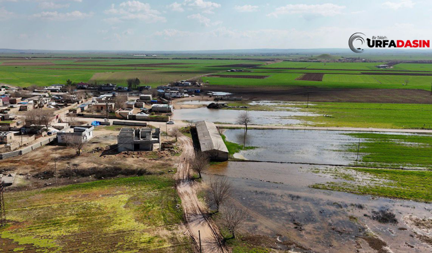 Şanlıurfa Suruç’ta Sel Gitti İzleri Kaldı