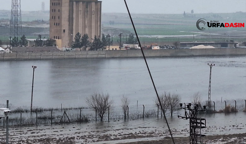 Şanlıurfa Akçakale Sınırındaki Mayınlı Saha Yağmur Sularıyla Gölete Dönüştü