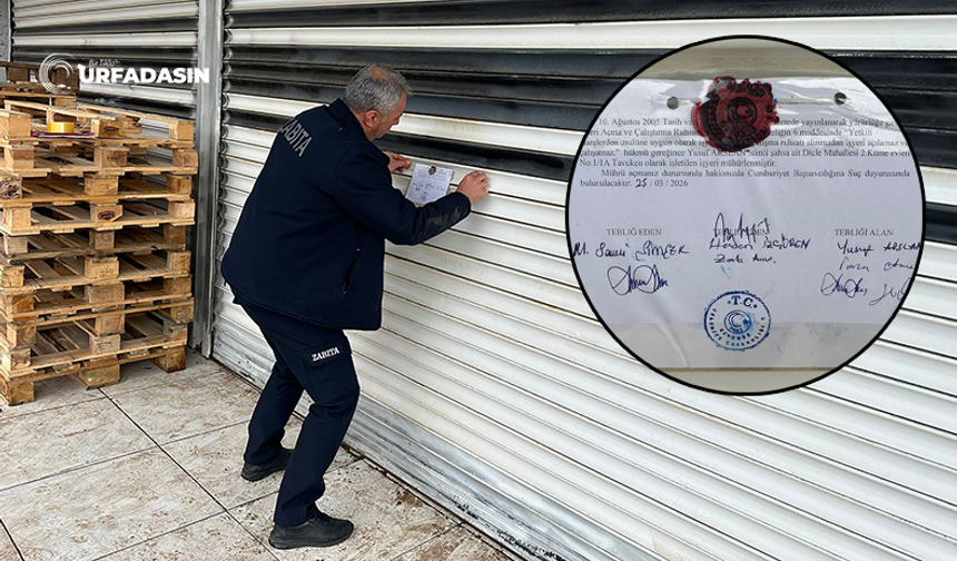 Şanlıurfa'da Siverek Zabıtası, Bozuk Tavuk Deposunu Mühürledi